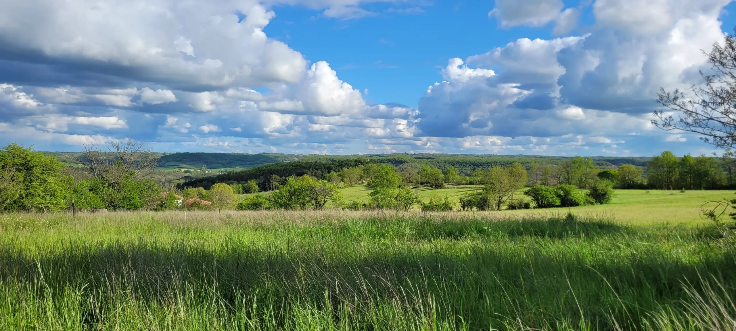 Champs & prairies
